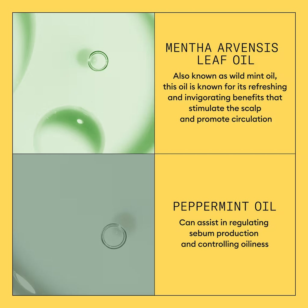 NIOXIN System 1 a Kit for natural, untreated hair with light thinning Trial size
