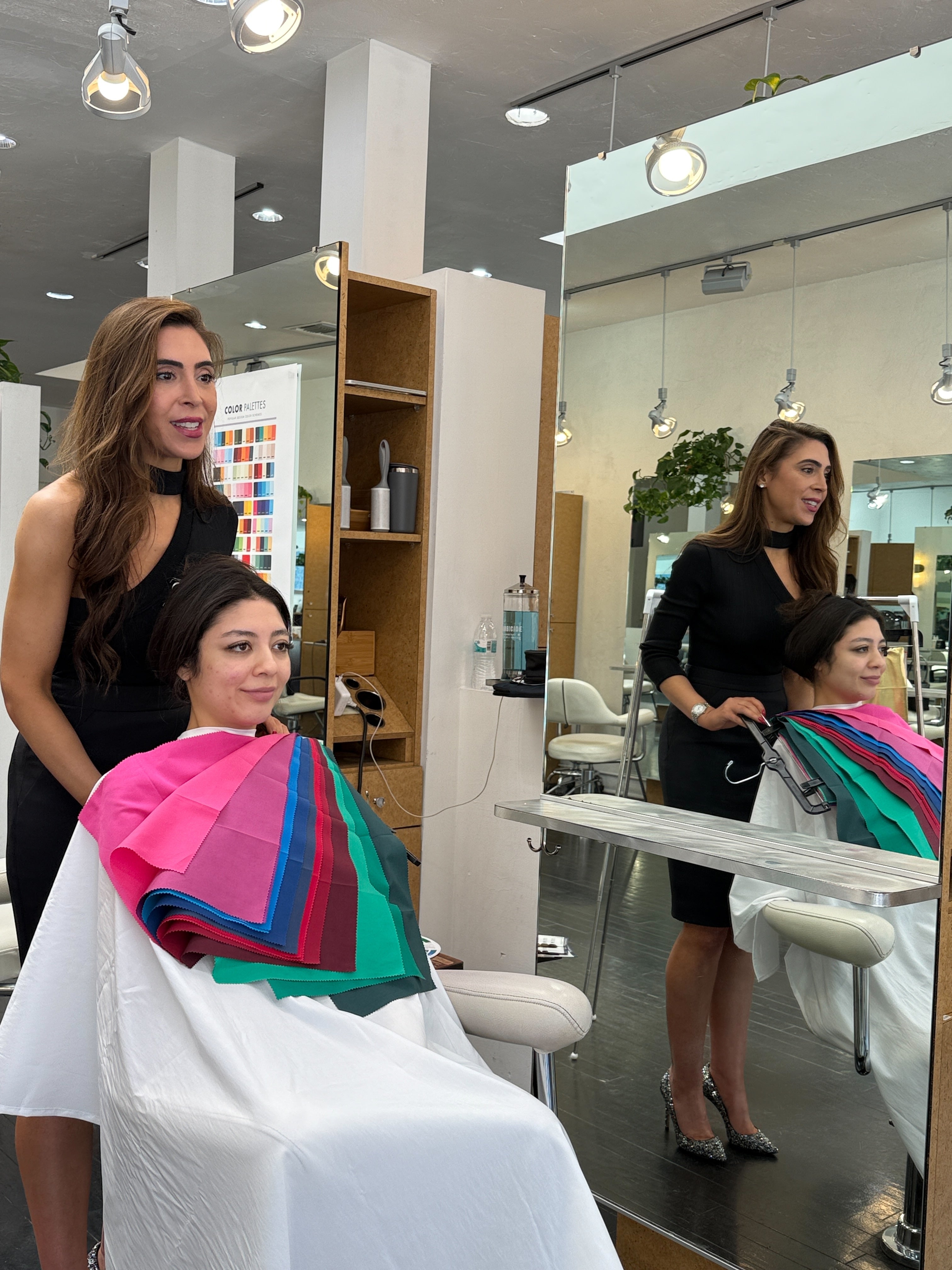 Live Zoom Hair Color Class | Seasonal Color Analysis & Hair Formulation